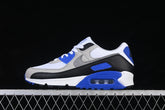 Air max 90 “Hyper Royal”