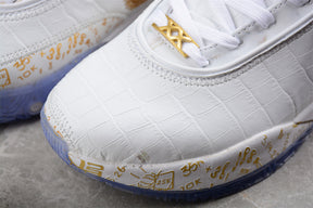 Nike Lebron 20