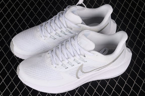 Air Zoom Pegasus 39 “White Silver”