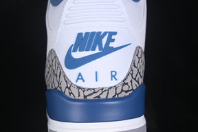 Air Jordan 3 “True Blue”