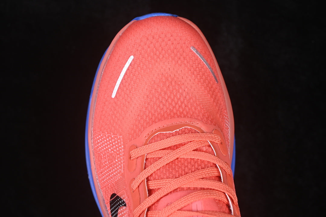 Nike Vomero “Premium Atomic Pink Racer Blue Crimson Tint Black”