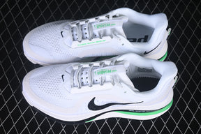Air Zoom Pegasus “White Summit”