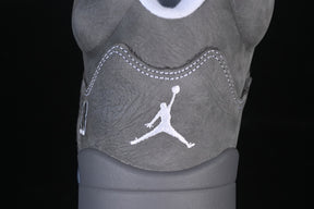 Air Jordan 5 “Wolf Grey”