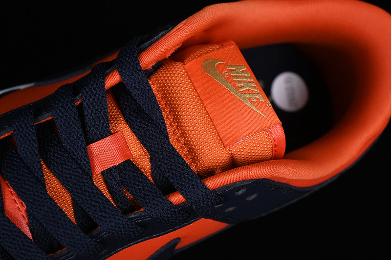 Dunk “Champ Colors”