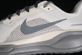 Air Zoom Pegasus 41 “Grey”
