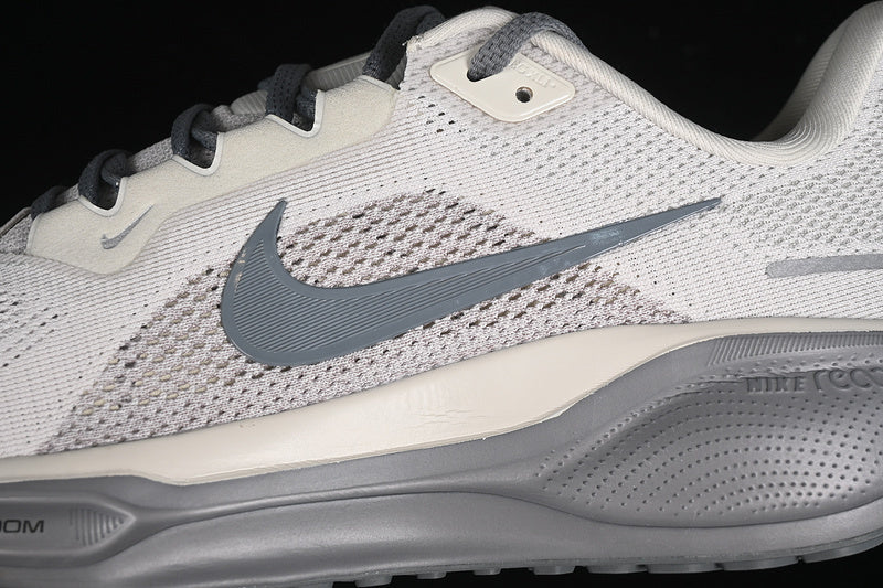 Air Zoom Pegasus 41 “Grey”