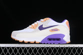 Air max 90 “Action Grape Citron”