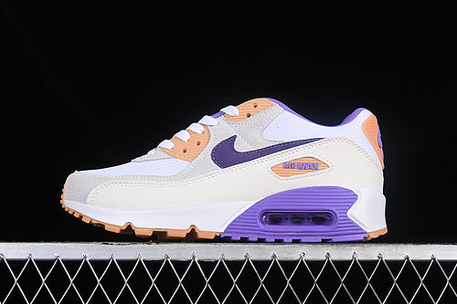 Air max 90 “Action Grape Citron”